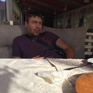 Олег, 43 года, Щелково