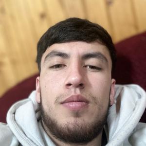 Amir, 23 года, Троицк