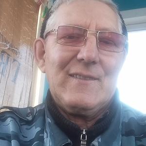 Владимир, 66 лет, Хабаровск