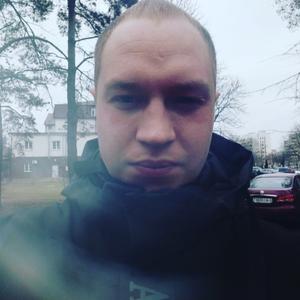 Дмитрий, 31 год, Светлогорск