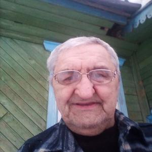 Сергей Вапаев, 68 лет, Лальск