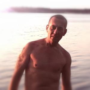 Евгений Петров, 43 года, Чебоксары
