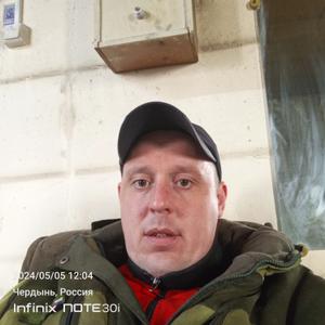 Дмитрий, 37 лет, Чердынь