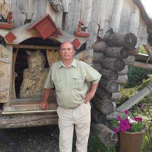 Парни в Ижевске: Владимир, 68 - ищет девушку из Ижевска