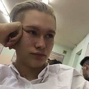 Нестор, 22 года, Омск