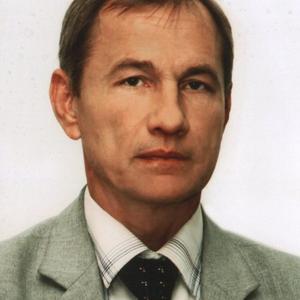 Александр Белоконь, 56 лет, Саратов