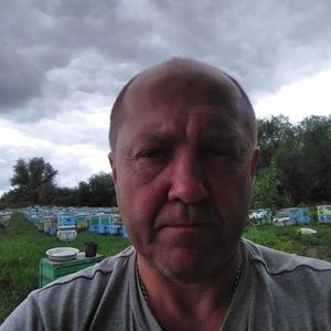 Олег Рогов, 55 лет, Саратов