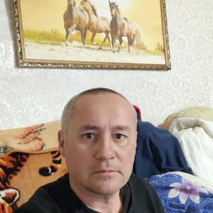 Раиль, 46 лет, Казань
