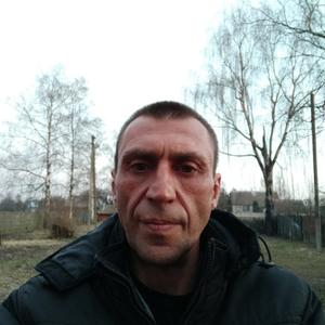 Дмитрий, 46 лет, Могилев