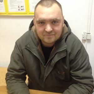 Михаил, 39 лет, Дмитров