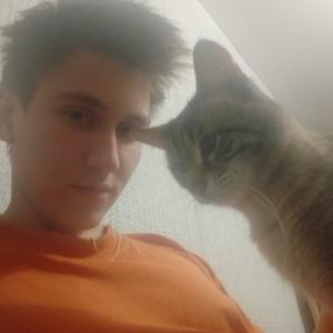 Кирилл, 22 года, Чебоксары