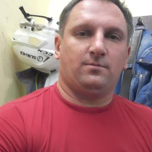 Парни в Дмитров: Алексей, 46 - ищет девушку из Дмитров