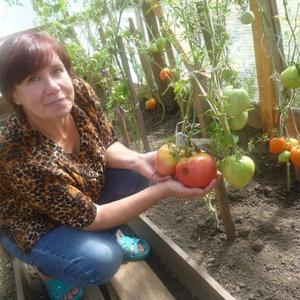 Антонина Барышникова, 54 года, Северск