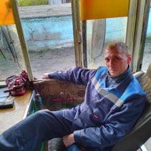 Станислав, 39 лет, Белово