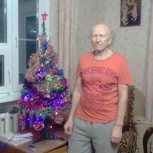 Александр, 76 лет, Иваново