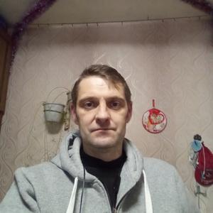 Дмитрий, 47 лет, Новозыбков