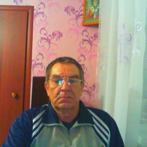Анатолий Кузнецов, 71 год, Самара