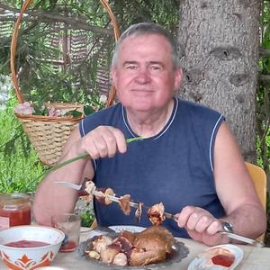 Парни в Ульяновске: Игорь, 67 - ищет девушку из Ульяновска