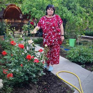 Татьяна, 54 года, Балашов