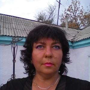 Кошелева Светлана, 50 лет, Москва