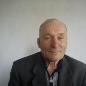 Леонид, 79 лет, Киселевск