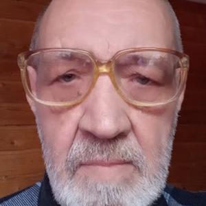 Парни в Правдинский: Дмитрий, 60 - ищет девушку из Правдинский