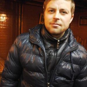 Aleksei Gutu, 42 года, Кишинев