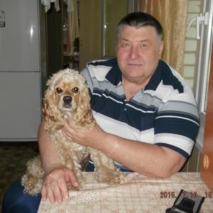 Владимир, 71 год, Ставрополь