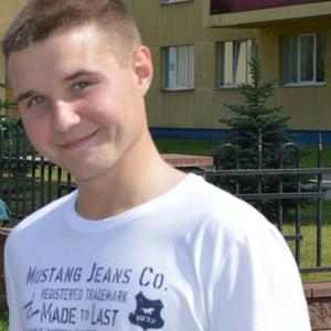 Стас, 28 лет, Витебск