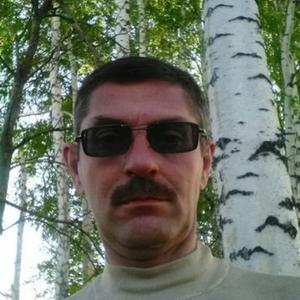 Андрей Загородских, 47 лет, Владимир
