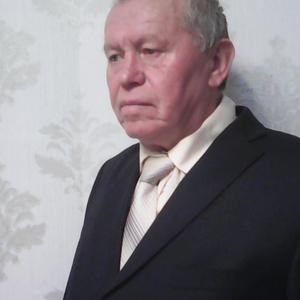 Талгат, 67 лет, Верхнеуральск