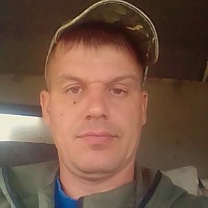 Михаил, 37 лет, Пермь