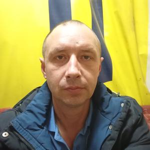 Сергей, 40 лет, Реж