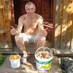 Евгений Ремизов, 52 года, Ярославль