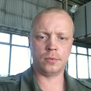 Александр Патрушев, 42 года, Красногорск