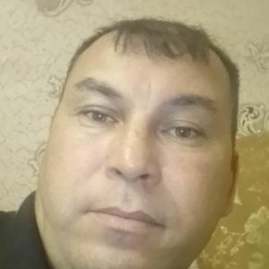 Дамир, 44 года, Новобелокатай