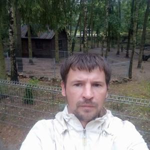 Александр, 40 лет, Полесск