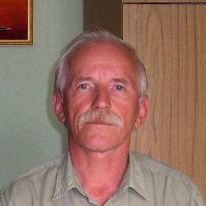 Анатолий, 69 лет, Челябинск