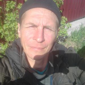 Николай, 42 года, Плесецк