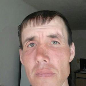 Андрей, 46 лет, Звенигово