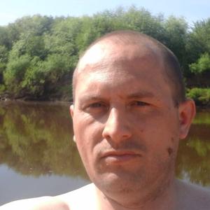 Сергей Анфайлов, 42 года, Киров