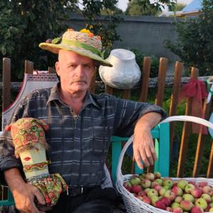 Вован, 69 лет, Вологда