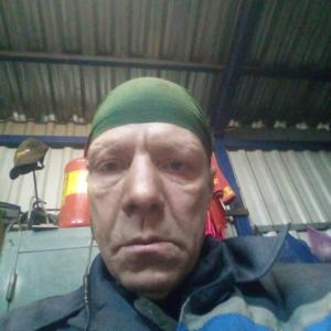 Роман, 44 года, Витебск