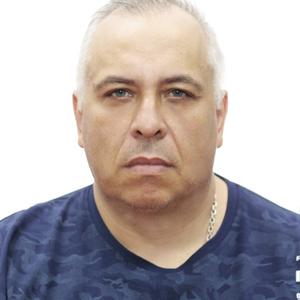 Дмитрий, 50 лет, Барнаул
