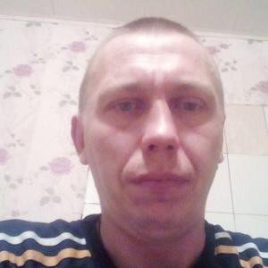 Александр, 41 год, Вологда