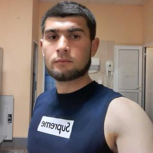 Рома, 29 лет, Ярославль