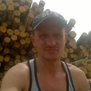 Парни в Череповце: Владимир Макиенко, 38 - ищет девушку из Череповца