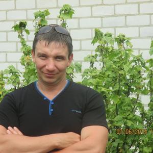 Парни в Столбцах (Беларусь): Сергей, 41 - ищет девушку из Столбцов (Беларусь)
