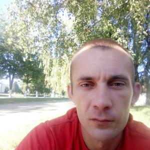 Андрей Волков, 39 лет, Гомель