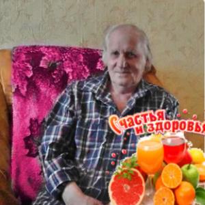 Парни в Южно-Сахалинске: Александр, 72 - ищет девушку из Южно-Сахалинска